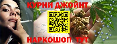 прущие грибы Гатчина