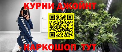 прущие грибы Гатчина