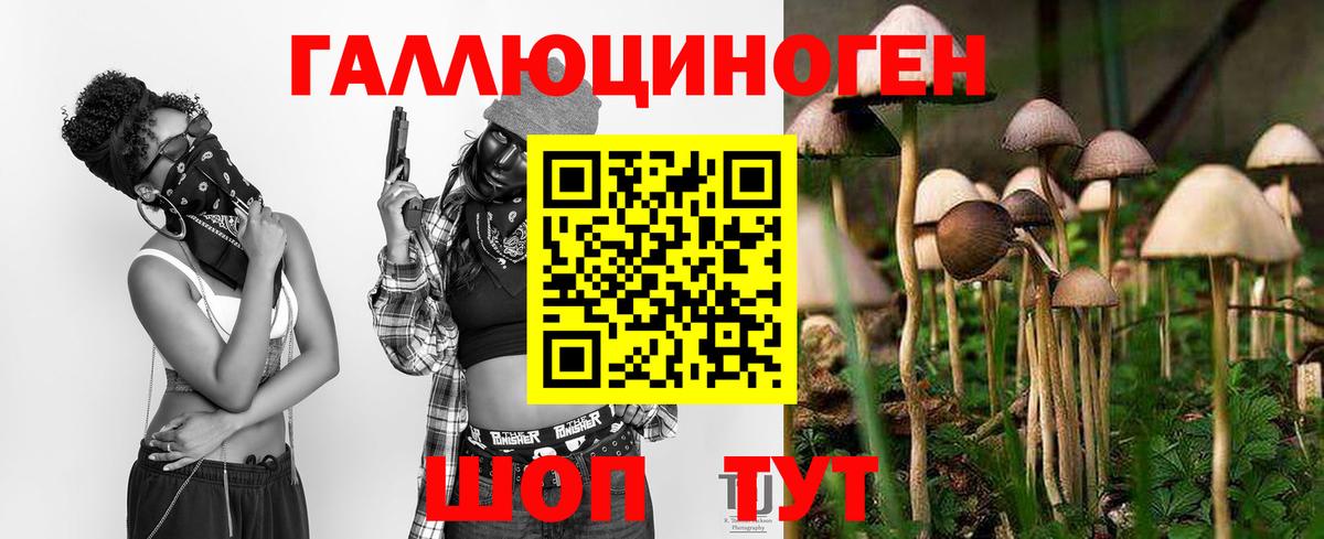 Галлюциногенные грибы мицелий  Вход с VPN  Алейск 