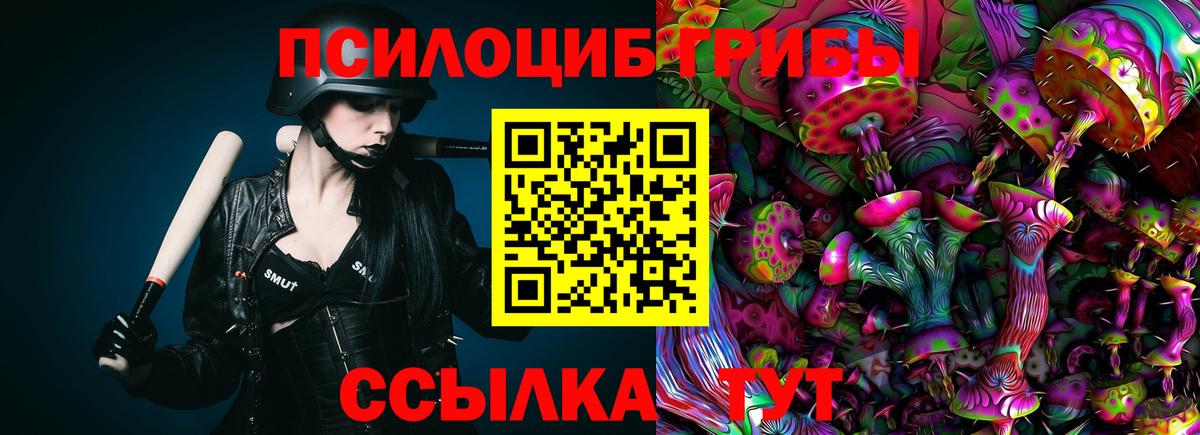 Алейск  Псилоцибиновые грибы GOLDEN TEACHER  закладки  Вход с VPN  Псилоцибиновые грибы мицелий 