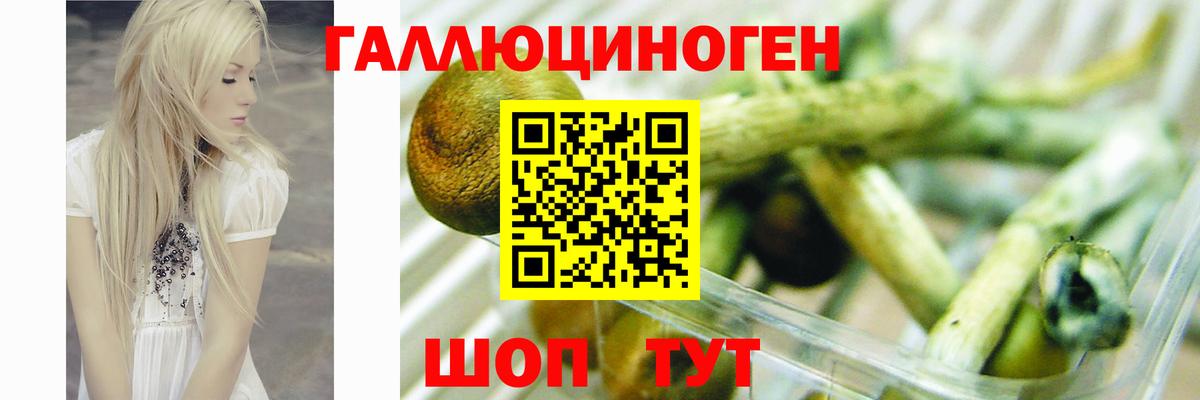 Галлюциногенные грибы прущие грибы Алейск